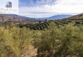 Terreno no urbanizable en venta en la España, Pinos del Valle, ref: TR415913 foto