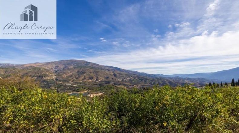 Granada - Pinos del Valle - 9018m2