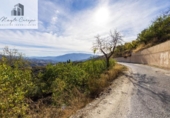 Terreno no urbanizable en venta en la España, Pinos del Valle, ref: TR415913 foto