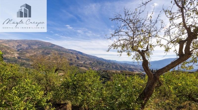 Granada - Pinos del Valle - 9018m2