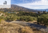 Terreno no urbanizable en venta en la España, Pinos del Valle, ref: TR415913 foto