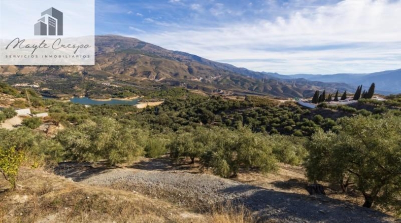 Granada - Pinos del Valle - 9018m2