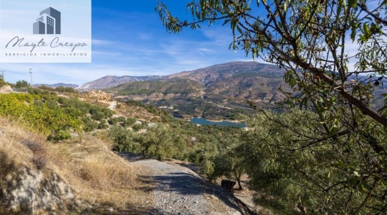 Granada - Pinos del Valle - 9018m2