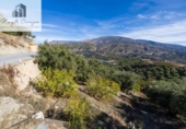Terreno no urbanizable en venta en la España, Pinos del Valle, ref: TR415913 foto