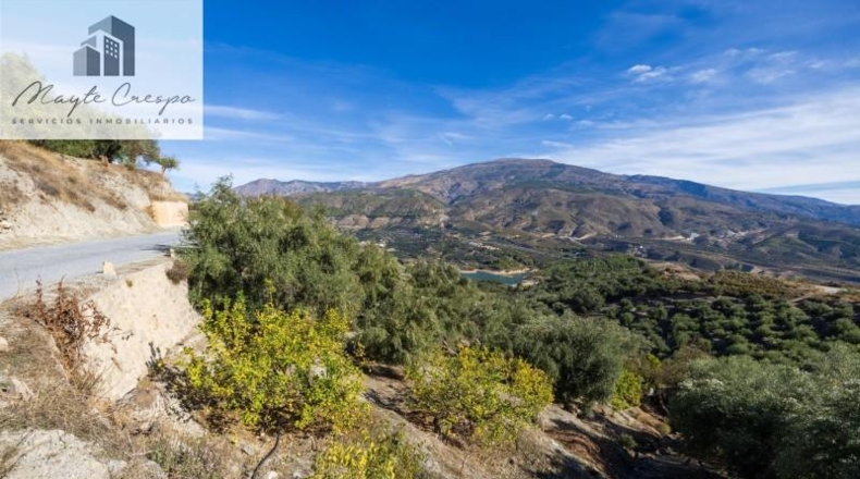 Granada - Pinos del Valle - 9018m2