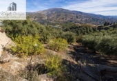 Terreno no urbanizable en venta en la España, Pinos del Valle, ref: TR415913 foto