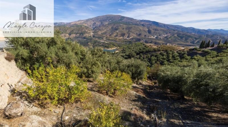 Granada - Pinos del Valle - 9018m2