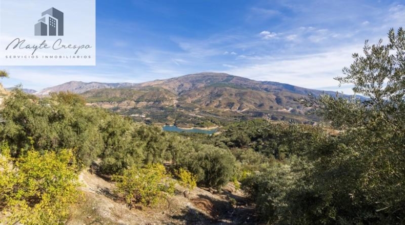 Granada - Pinos del Valle - 9018m2