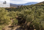 Terreno no urbanizable en venta en la España, Pinos del Valle, ref: TR415913 foto