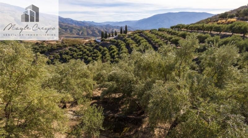 Granada - Pinos del Valle - 9018m2