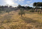 Suelo urbano en venta en la España, Cáceres, ref: TR415927 foto