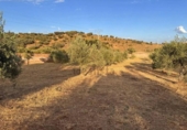 Suelo urbano en venta en la España, Cáceres, ref: TR415927 foto