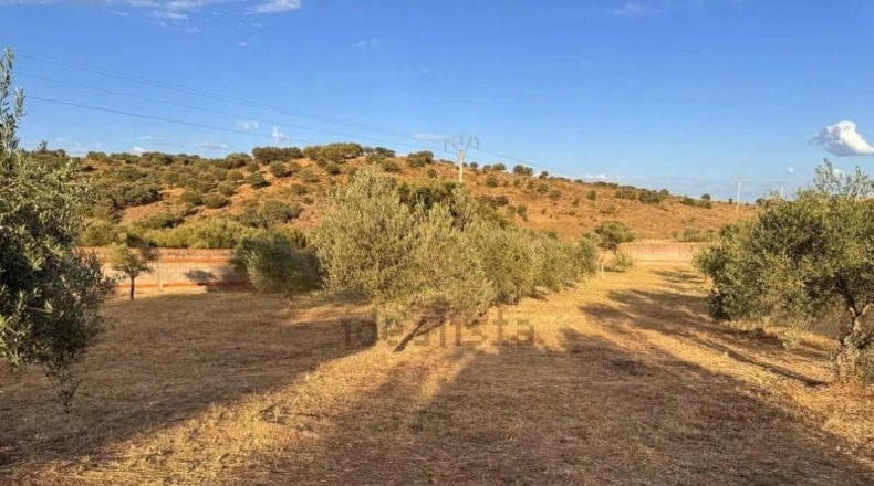 Caceres - Cáceres - 2300m2