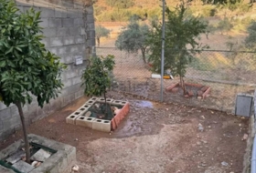 Foto 10
