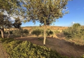 Suelo urbano en venta en la España, Cáceres, ref: TR415927 foto