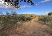 Suelo urbano en venta en la España, Cáceres, ref: TR415927 foto