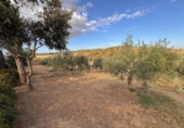 Suelo urbano en venta en la España, Cáceres, ref: TR415927 foto