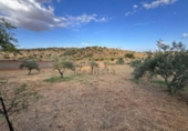 Suelo urbano en venta en la España, Cáceres, ref: TR415927 foto