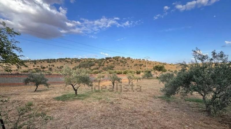 Caceres - Cáceres - 2300m2