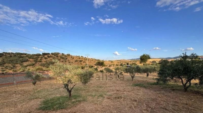 Caceres - Cáceres - 2300m2