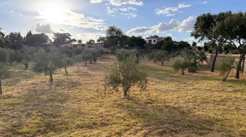Caceres - Cáceres - 2300m2