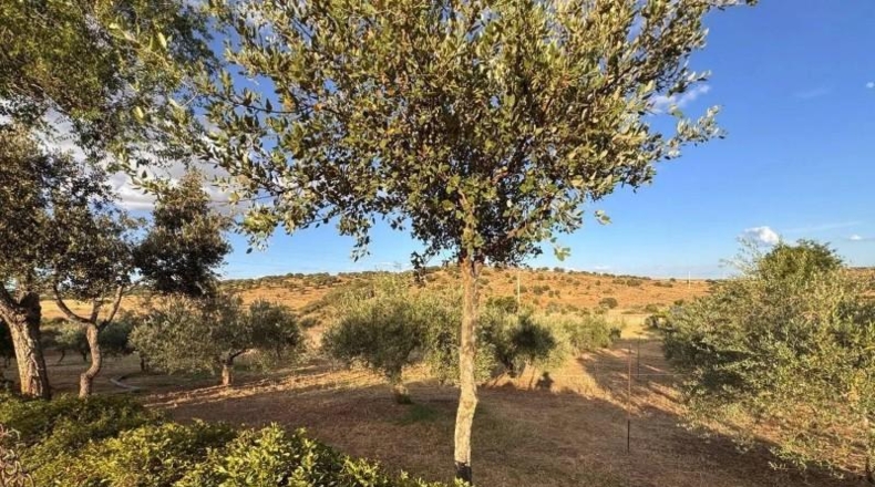 Caceres - Cáceres - 2300m2