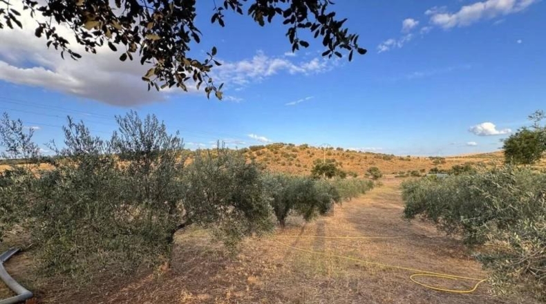 Caceres - Cáceres - 2300m2