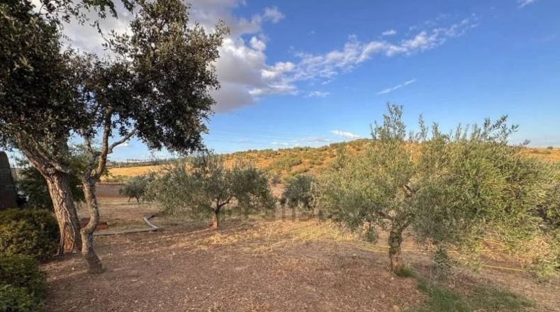 Caceres - Cáceres - 2300m2
