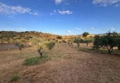 Suelo urbano en venta en la España, Cáceres, ref: TR415927 foto