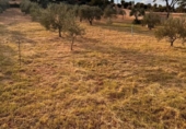 Suelo urbano en venta en la España, Cáceres, ref: TR415927 foto