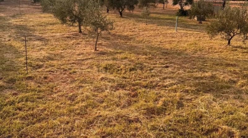 Caceres - Cáceres - 2300m2