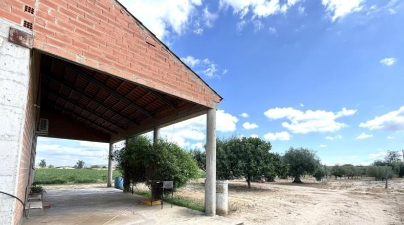 Badajoz - Medellín - 3800m2