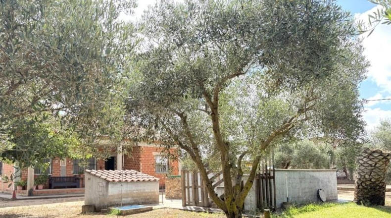 Badajoz - Medellín - 3800m2