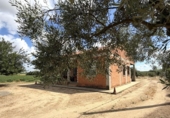 Chalet independiente con terreno en venta en la España, Medellín, ref: TR415931 foto