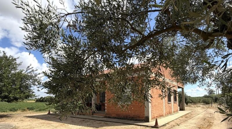 Badajoz - Medellín - 3800m2