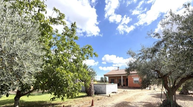 Badajoz - Medellín - 3800m2