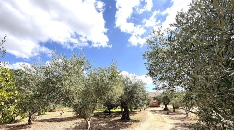 Badajoz - Medellín - 3800m2