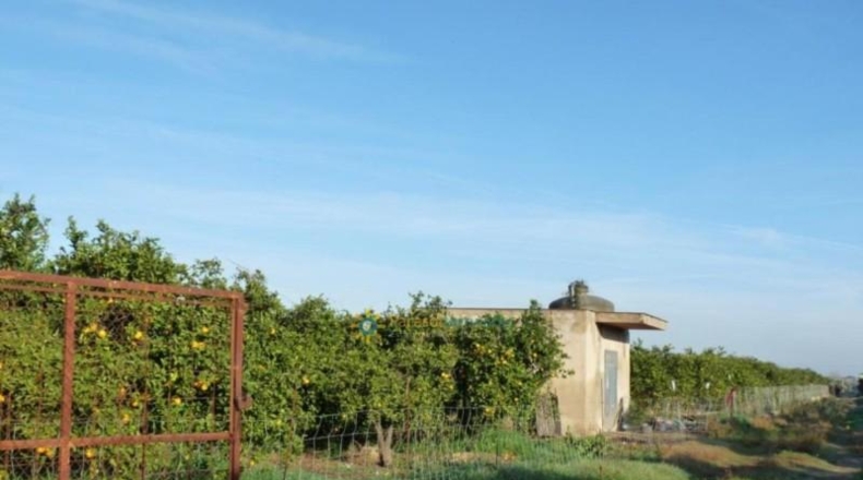 Valencia - Oliva - 14707m2