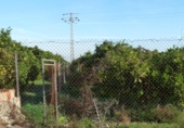 Parcel·la urbanitzable en venda a la España, Oliva, ref.: TR348600 foto