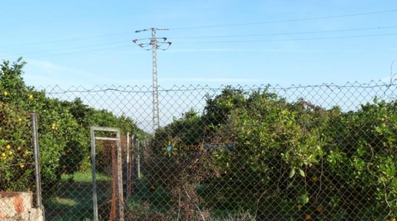 Valencia - Oliva - 14707m2