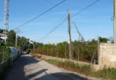 Parcel·la urbanitzable en venda a la España, Oliva, ref.: TR348600 foto