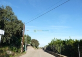 Parcel·la urbanitzable en venda a la España, Oliva, ref.: TR348600 foto