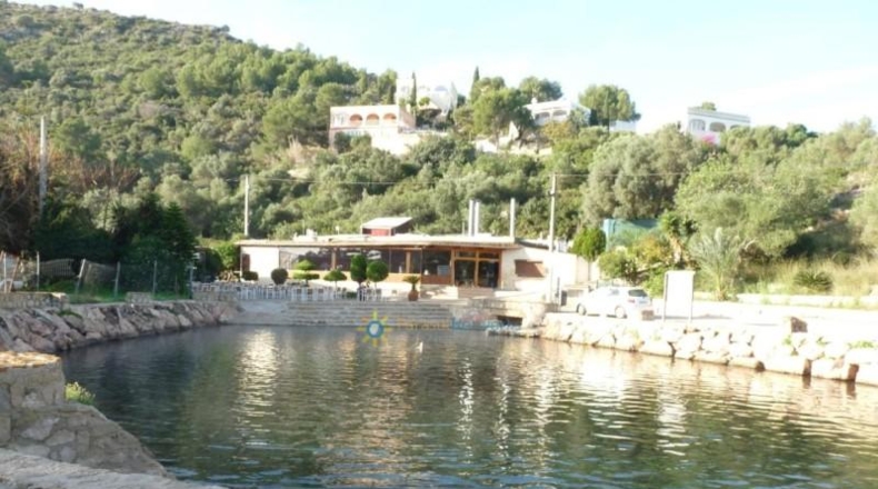 Valencia - Oliva - 14707m2