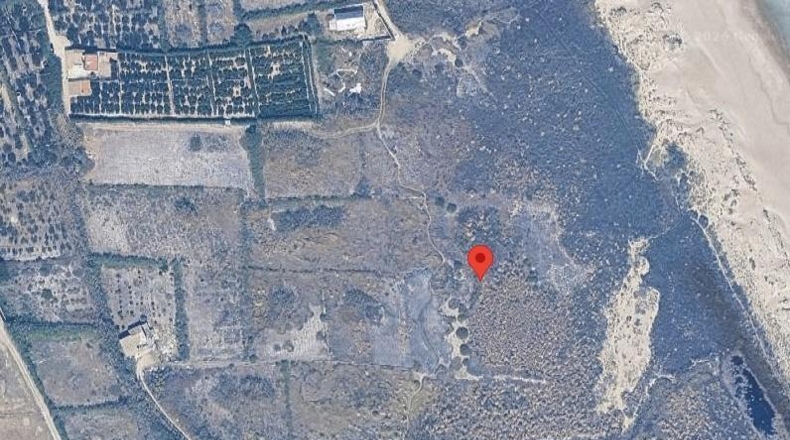 Valencia - Cullera - 50593m2