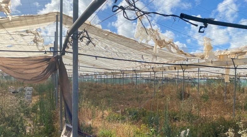 Cadiz - Rota - 10400m2