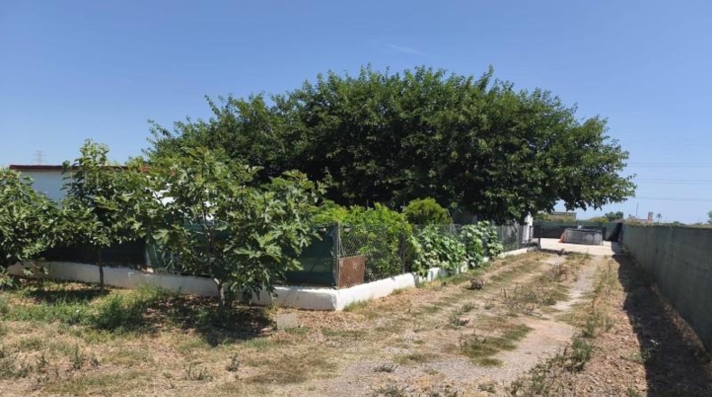 Valencia - Foios - 1300m2