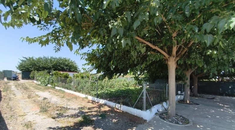 Valencia - Foios - 1300m2