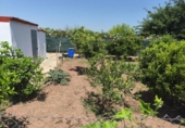 Casa de camp amb terreny en venda a la España, Foios, ref.: TR415940 foto