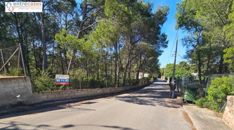 Valencia - Gilet - 2121m2
