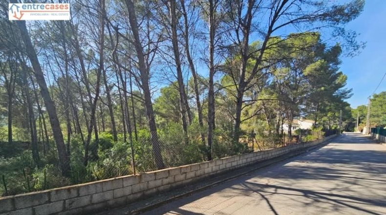 Valencia - Gilet - 2121m2